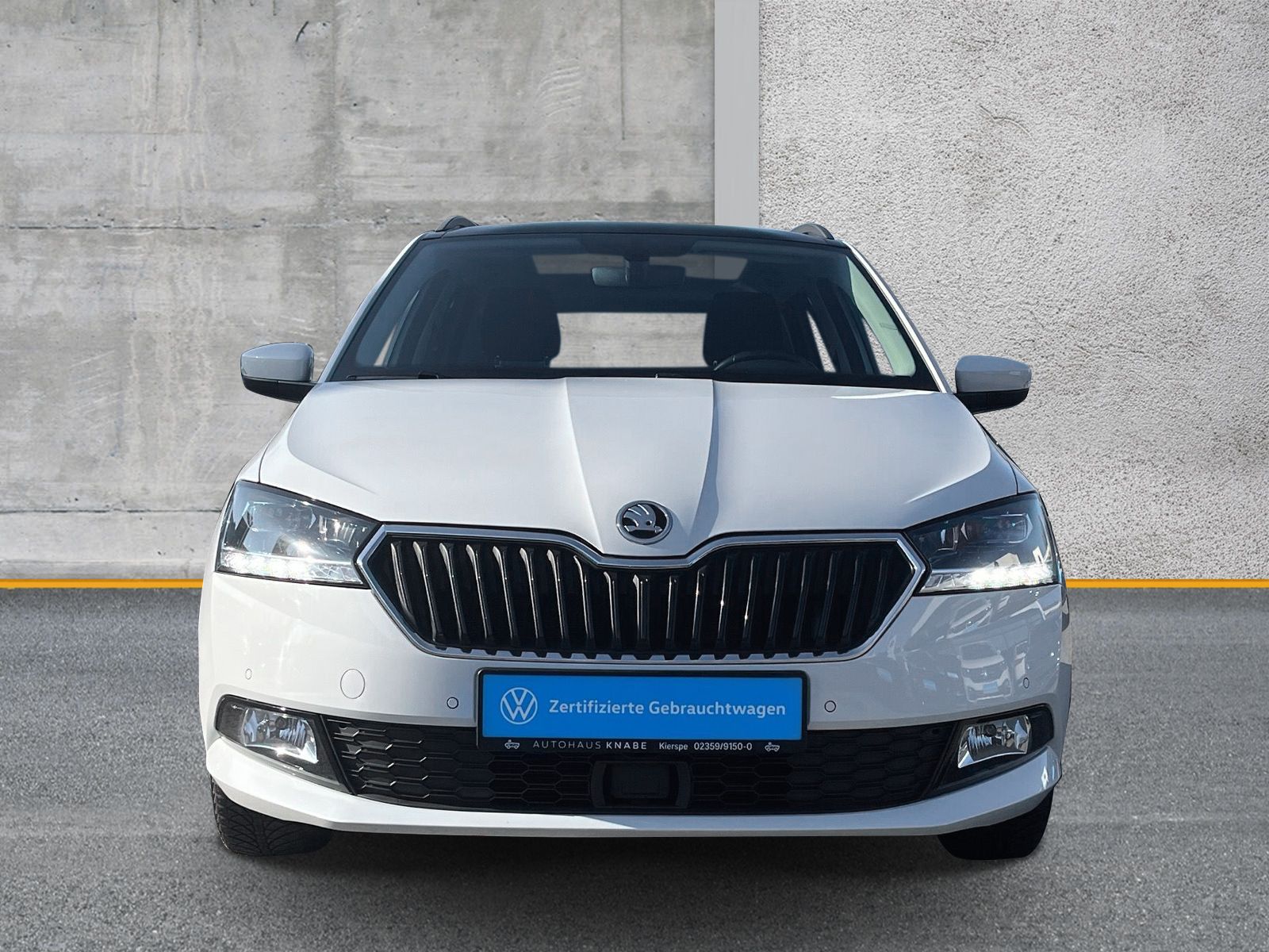 Fahrzeugabbildung SKODA Fabia Combi 1.0 TSI Drive 125 LED PANO KAMERA AC