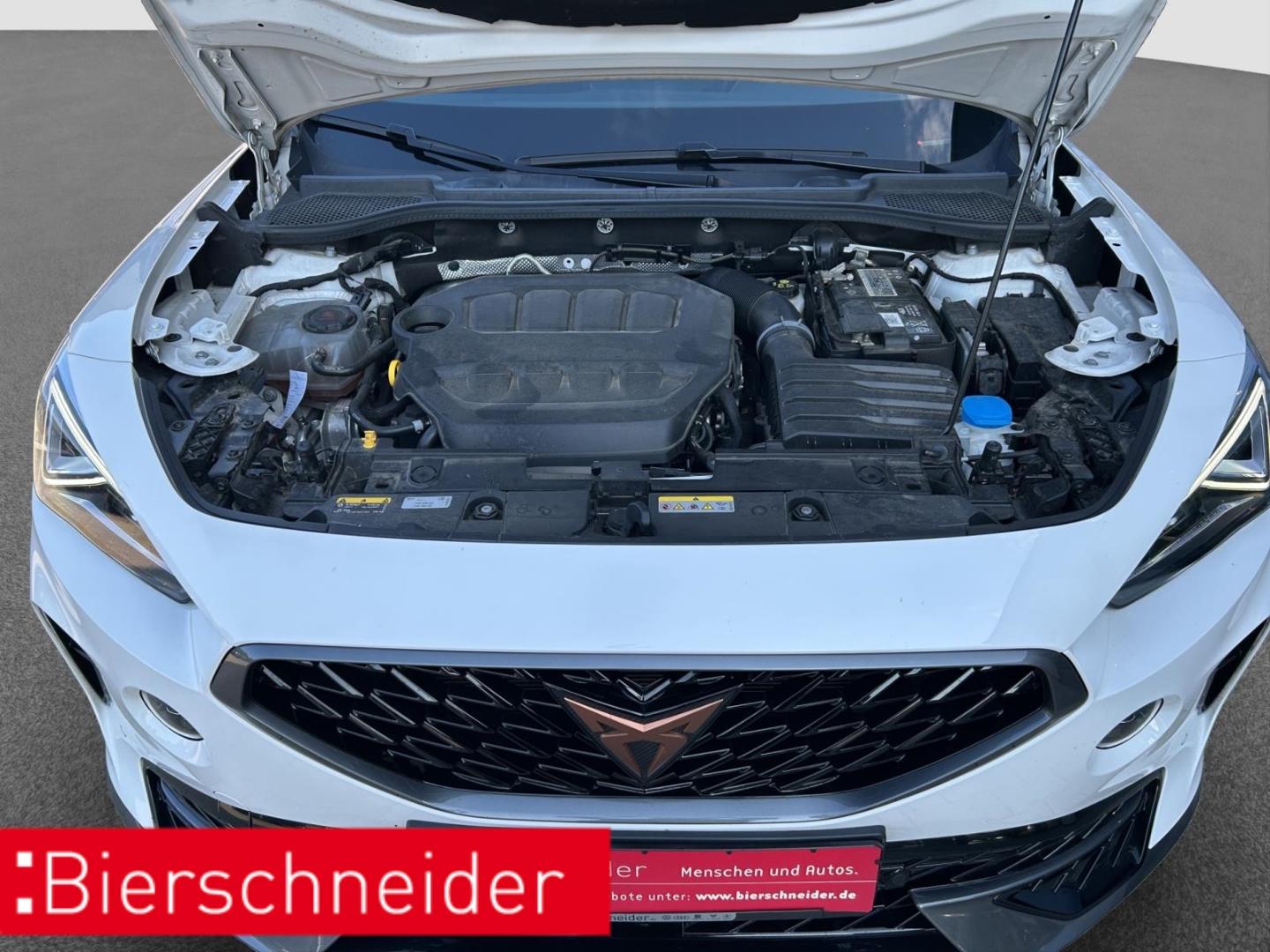 Cupra Formentor 2.0 TSI DSG 4Dr. VZ DCC BEATS MEMORY, миниатюра 20
