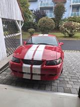 Ford Mustang 40th Anniversary V6 - gebrauchte Ford Mustang aus dem Jahr 2003