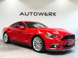 Ford Mustang GT*NAP AGA*EIBACH*KAMERA* - Ford: Rot, Ka