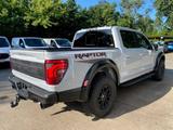 Ford F150 Raptor, MY25,AHK,SOFORT 3,5 V6 - Ford F 150: Automatik