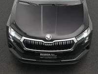 Skoda Karoq - Vorschau Bild 28