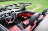 Peugeot 206 CC Platinum 135 Platinium - gebrauchte Peugeot 206 aus dem Jahr 2001