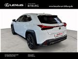 Lexus UX 300 h - Lexus UX Neuwagen