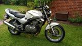 Kawasaki ER5 / ER 500 A - Angebote entsprechen deinen Suchkriterien