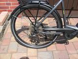 Trenoli Tanaro CX Spotivo M Bosch, Shimano Nexus,LED - Trenoli E-Bikes