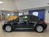 Volkswagen Beetle Lim. - Volkswagen Beetle: Limousine