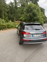 Audi Q5 2.0 TDI S-Line inkl. WKR - Audi Q5 in Osnabrück