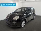 Fiat Panda Pandina Hybrid MY25 70PS  - Fiat Panda Tageszulassungen mit Benzin-Antrieb: Limousine
