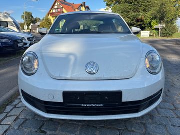 Volkswagen Beetle - 2
