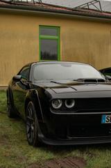 Dodge Challenger Shaker 6.4 V8  ScatPack Widebody - Dodge Challenger: Shaker