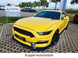 Ford Mustang 2.3Eco Schalter Leder 19Zoll R-CAM Xenon - : Coupé, Gelb