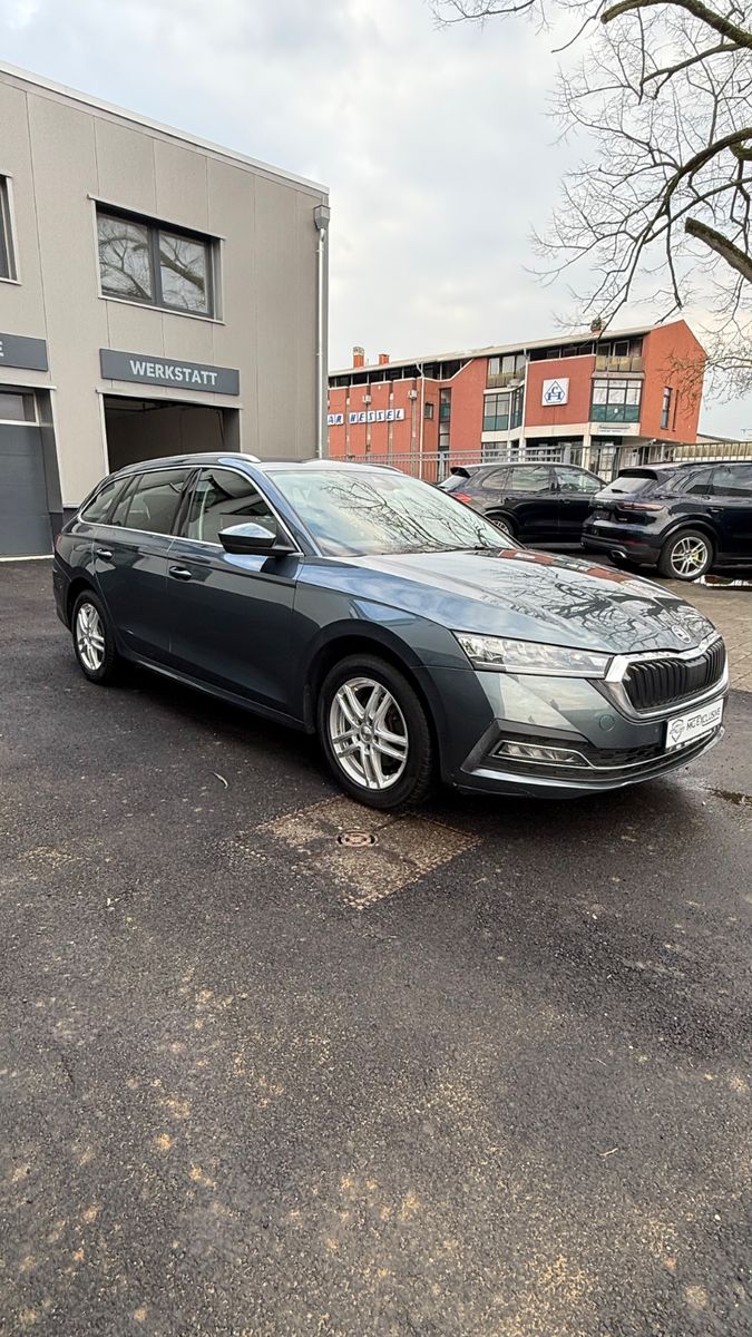 Fahrzeugabbildung SKODA Octavia Combi First Edition