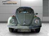 Volkswagen Käfer Originalzustand!! - Offers matching your search criteria