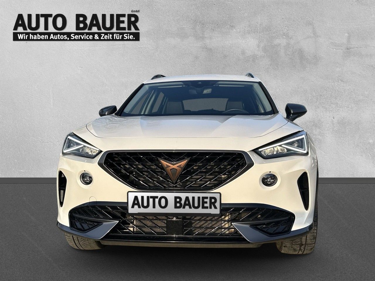 Fahrzeugabbildung CUPRA Formentor 1.5 TSI 150 PS DSG