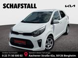 Kia Picanto Vision Navi Kamera Sitzheizung DAB - gebrauchte Kia Picanto aus dem Jahr 2023