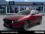 Mazda CX-30 SKYACTIV-X 2.0 M Hybrid Edition 100 - Mazda CX-30 in Leipzig