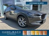 Mazda CX-30 EXCLUSIVE Matrix 360° BOSE Freisprech Spra - Mazda CX-30 Neuwagen
