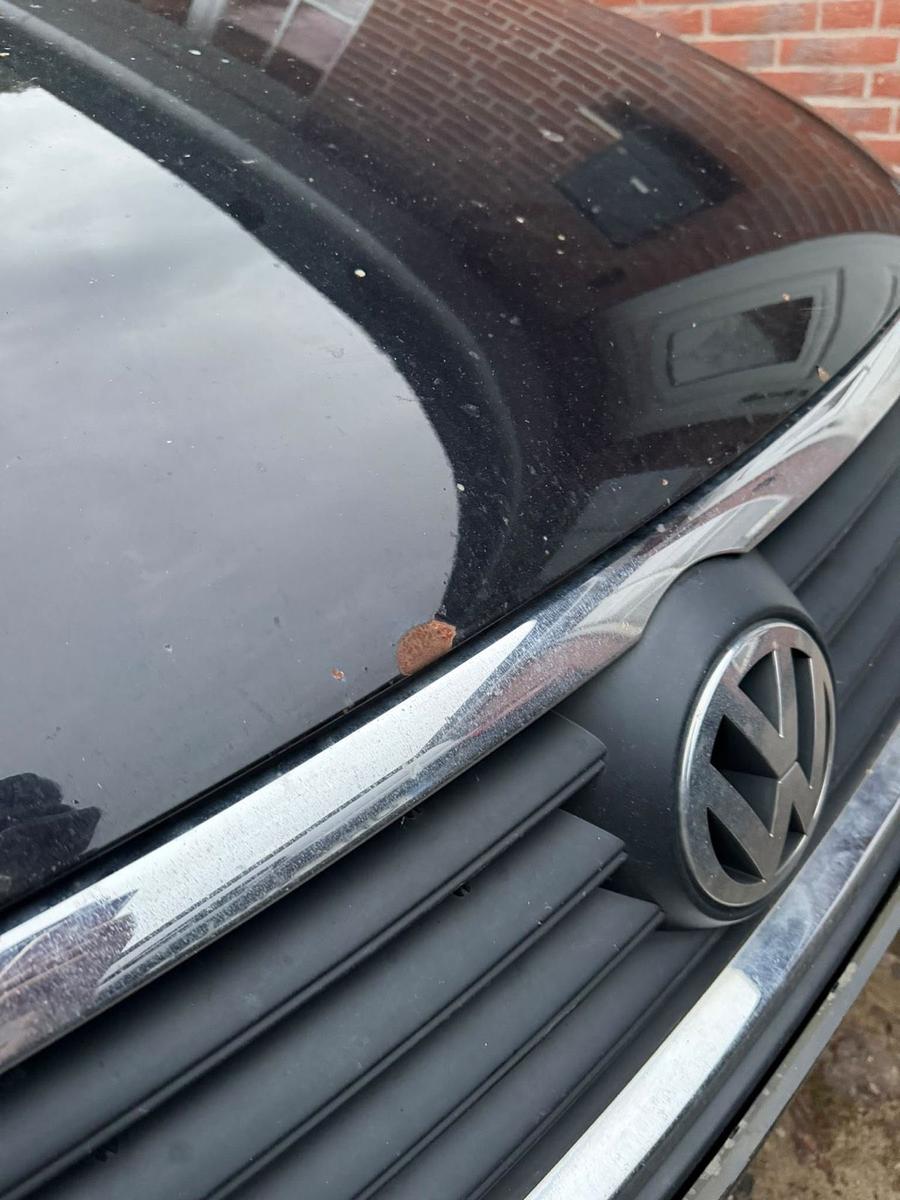 Volkswagen Passat 2008 — photo 8