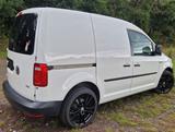 Volkswagen Caddy 2,0TDI 75kW Trendline BlueMotion Trend... - Volkswagen Caddy: Trendline Bluemotion