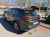 Lexus UX 300e - ACC-Belü.Sitze-Memory-Leder-Kamera-17Z - Lexus aus 2021