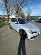 Alfa Romeo Stelvio Ti Diesel 2.2 Allrad Panoramaglasdach - Alfa Romeo Stelvio in Stuttgart