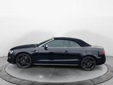 Audi A5 Cabriolet 2.0 TDI quattro S-Line, Xenon, Alca - Audi A5: Cabrio