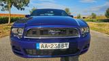 Ford Mustang - gebrauchte Ford Roadster