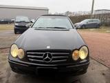 Mercedes-Benz CLK 320 - Mercedes-Benz: Cabrio, Clk