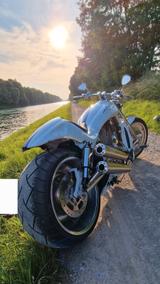 Harley-Davidson VRod Custom Umbau 280er