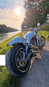 Harley-Davidson VRod Custom Umbau 280er