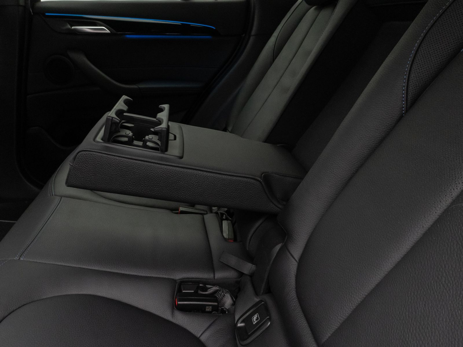 Fahrzeugabbildung BMW X1 xD25e M Sport Kamera Navi DAB HiFi DrivAssist