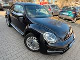 Volkswagen Beetle Lim. Remix-Tüv Neu- 1 Jahr Garantie - VW Beetle Gebrauchtwagen in Berlin