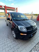 Fiat Grande Panda - Fiat Grande Panda: Kleinwagen
