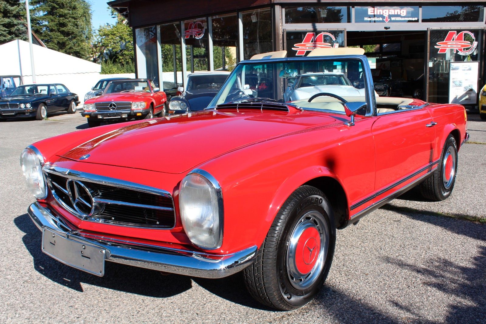 230 SL Automatik Pagode W113 sehr schön!