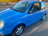 Volkswagen Vw lupo 1,0li mit TÜV - Volkswagen Lupo in Düsseldorf