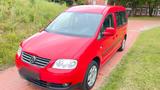 Volkswagen VW Caddy Maxi 7-Sitzer  TÜV neu - VW Caddy Maxi von 2009