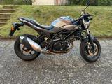 Suzuki SV650X - SUZUKI SV650X