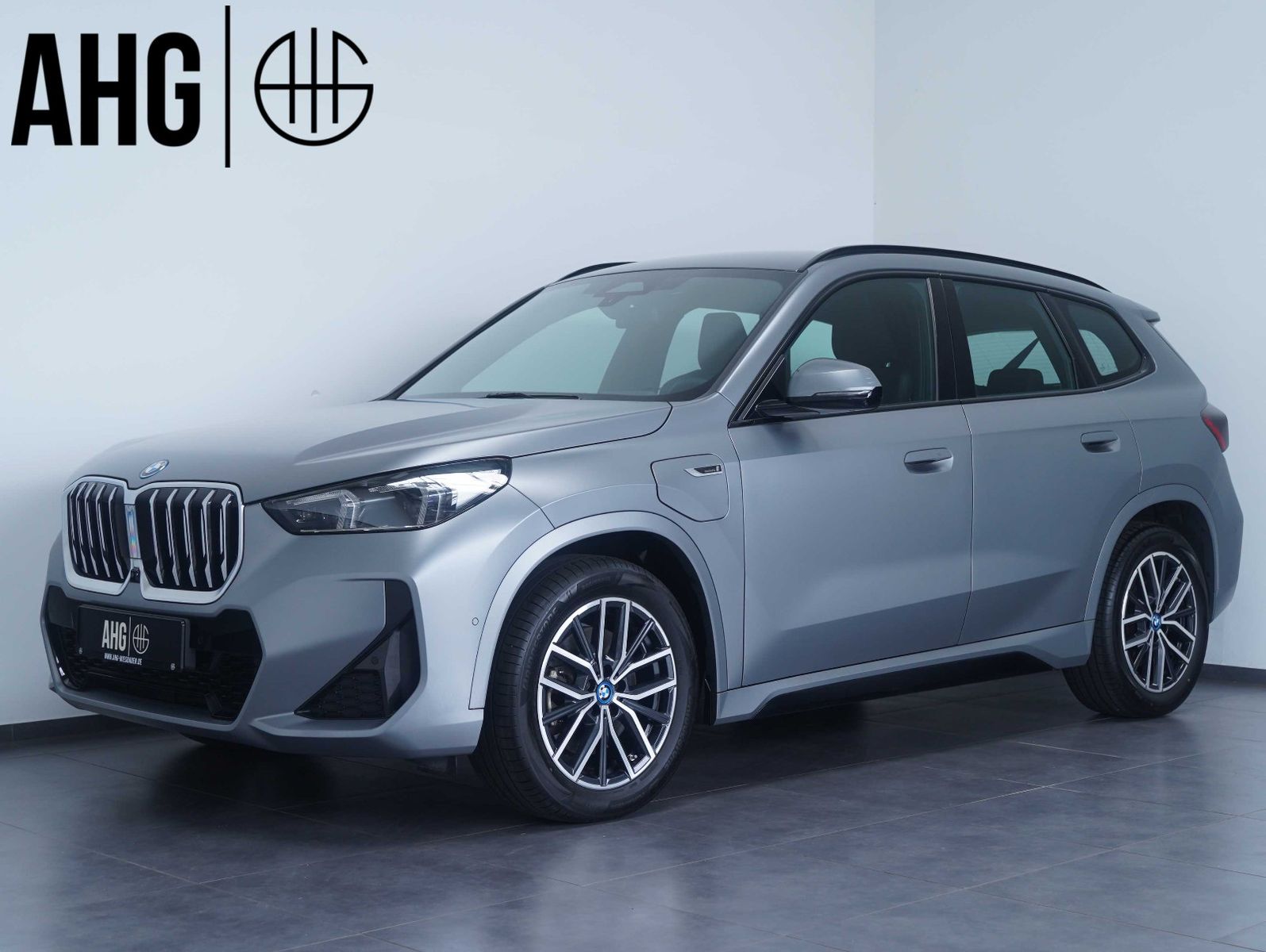BMW X1 xDrive 30 e M Sport FROZEN/H&K/360°