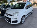 Fiat Panda 1.2 My Panda * TÜV & Service NEU * S-Heft - Fiat Panda Gebrauchtwagen in Bielefeld