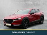 Mazda CX-30 2.5L e-SKYACTIV G FWD Homura KAMERA+NAVI+ - Mazda CX-30 Neuwagen