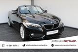 BMW 228 i Cabrio Autom. PDC Navi Bluetooth 1.Hd. - : Cabrio, Bluetooth