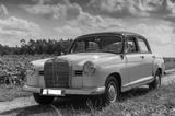 Mercedes-Benz Mercedes Benz 180c Ponton EZ 1962 - Oldtim... - Mercedes-Benz: 180 Ponton