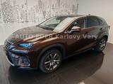 Lexus NX 300h PRESTIEGE SAFETY PANORAMIC 4WD - Lexus NX 300 Benziner Gebrauchtwagen