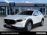 Mazda CX-30 2.0L e-SKYACTIV G 122ps Exclusive-line ,Au - Mazda CX-30 in Leipzig