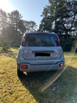 Fiat Panda 1.0 GSE Hybrid CROSS - Fiat Panda aus 2020