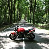 Honda Hornet CB900 SC48 - HONDA CB 900 HORNET