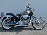 Harley-Davidson Sportster XL 883 Custom  - Angebote