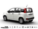 Fiat Panda ICON Hybrid 1.0 GSE KLIMA PDC 5-SITZER - Fiat: Sitzer