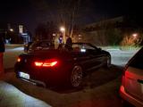 BMW 640d Cabrio - - BMW 6er Reihe: Cabrio